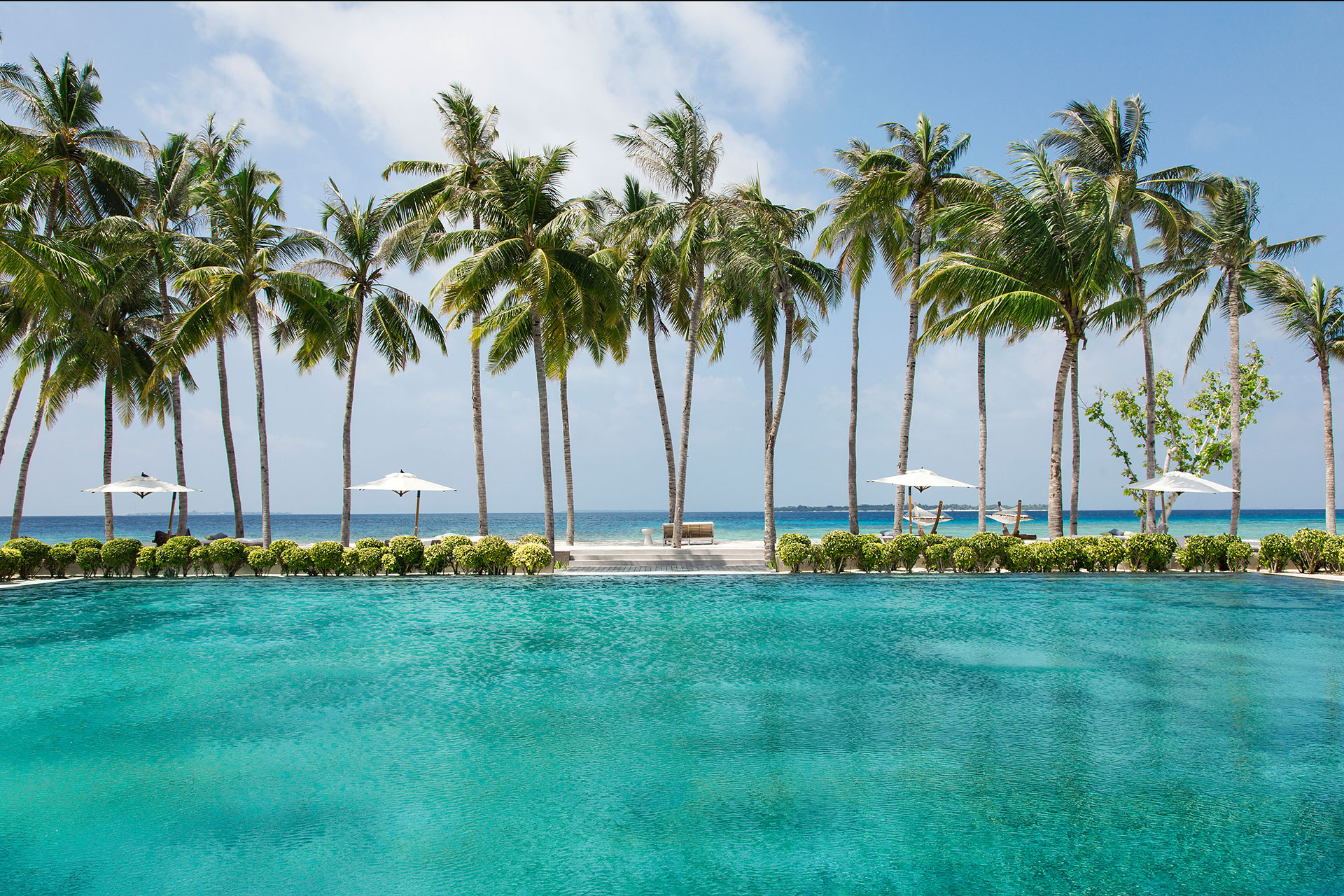 Großer Pool umgeben von Palmen