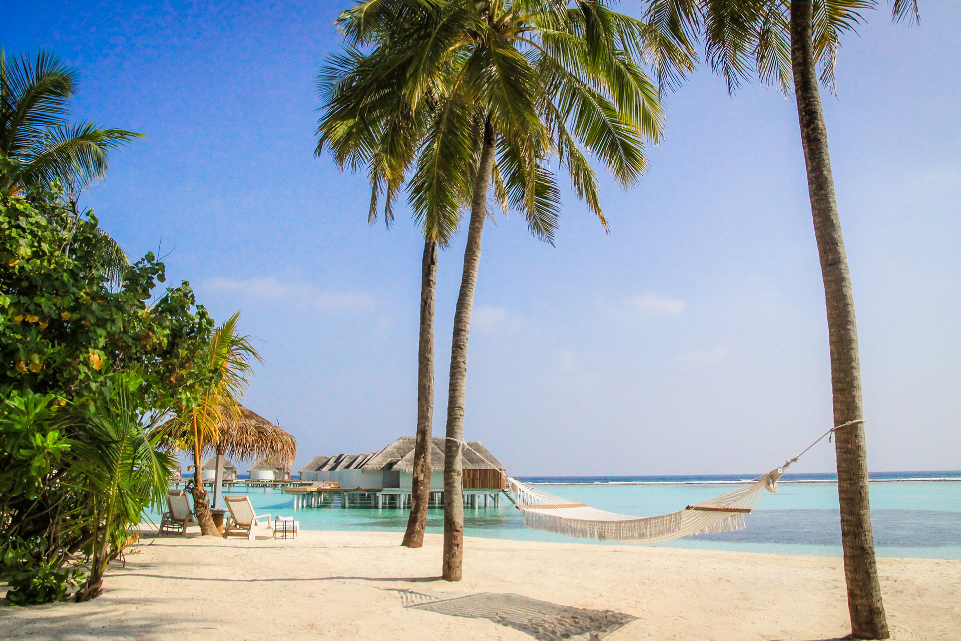 Breiter Strand mit Palmen