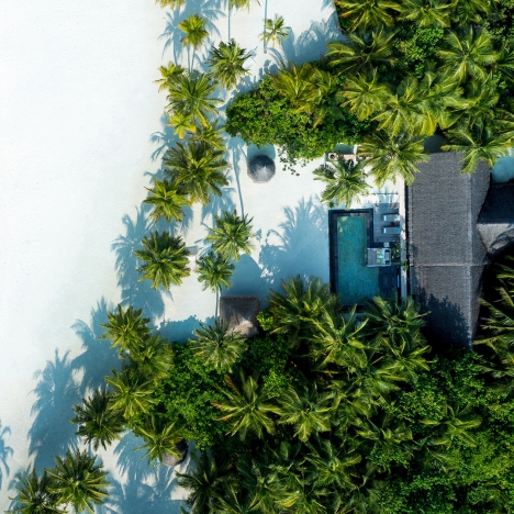 Villa zwischen Palmen am Strand