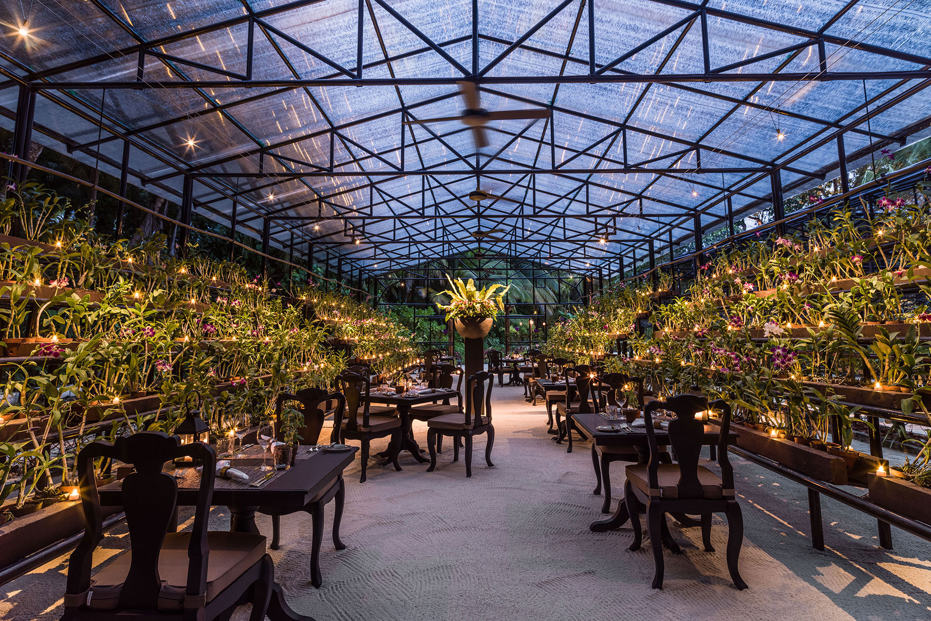Restaurant in einem Gewächshaus
