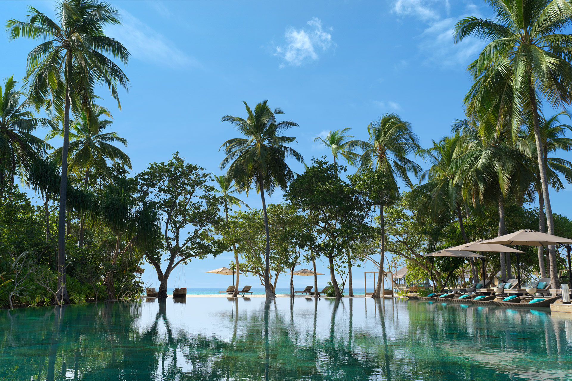 Von Palmen umgebener Pool